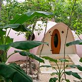 Room in Lodge - Unique Jungle Dome 2 Queen Beds