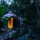 Unique Jungle Dome Ha With Kitchen
