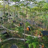 Bobocabin The Tavia Puncak