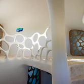 Alterhome Turtle Studio