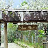 Blue home