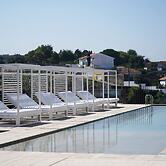 The Lince Santa Clara