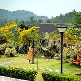 Monkeys Canopy Resort