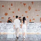 Monkeys Canopy Resort