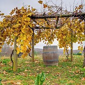 Pet-friendly Pilot Studio w/ Vineyard Views!