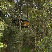 Ela Ecoland Munnar - A Nature Retreat