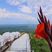 Signagi Glamping
