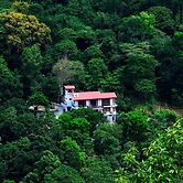 The Springfields Kandy