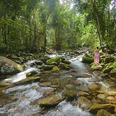 Misty Mountains Rainforest Retreat