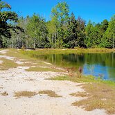 Sylvan Cabin on 73 Acres - Pond On-site!