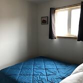 Les chanterelles de Forillon