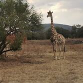 Ou Kraal tented Lodge