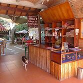 The Octopus's Garden