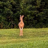 Sweet Victory Bed and Breakfast