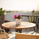 Amigos Para Sempre - Casa de hospedes