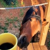 Tiny House Loulé Algarve no1