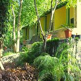 The Last Shola Cottages