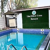 Olive Tree Resort
