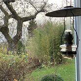 Villa Maria Garden Cottages