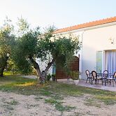 Olive Trees Garden Lixouri