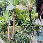 Résidence Tropicale