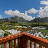 Teras Sawah Guest House Syariah