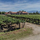 Buena Vid by Chadel Management