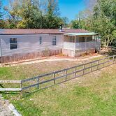 The Ailanthus Cottage