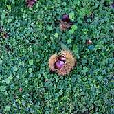 All Seasons Guest House