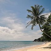 The Boathouse Pulau Tioman