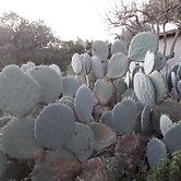 Itaca, and you Feel at Home