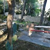 Eli - for Nature Lovers - A1