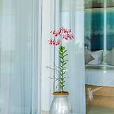 Deep Blue Villa Bali