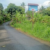 Lingkung Park Tetebatu