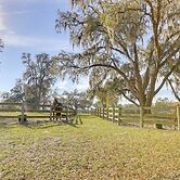 Pet-friendly Studio Near World Equestrian Center!