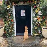 The Red Lion Blewbury