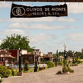 Olivos de Monte