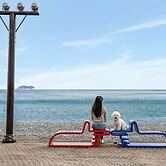 Geoje Blueberry Pet Pension