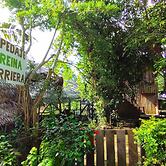 Hospedaje  Reina Arriera Amazonas