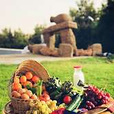 Résidence Ferme Habib