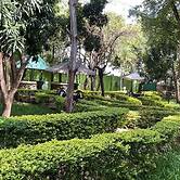 Jungle Green Resort - Kiutine