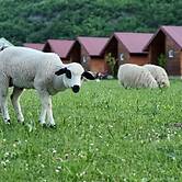 Eko Katun ROSI - oldTower