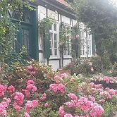 Rosindell-cottage