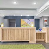 Spark by Hilton Lansing