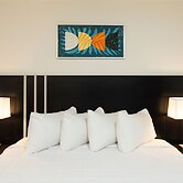 OASIS BAY SUITES, Tampa, Busch Gardens, USF