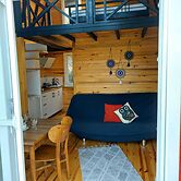 Sole Foca - Adult Only