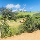 Refúgio dos pinhais