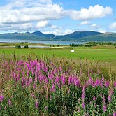 7 Person Holiday Home in Sortland-by Traum