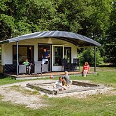 Beautiful Lodge in Appelscha With Terrace