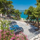 Apartment Villa Rosea